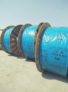 天聯(lián)電纜WDZ-KY系列產(chǎn)品 天津電纜產(chǎn)業(yè)與河北工廠的協(xié)同發(fā)展